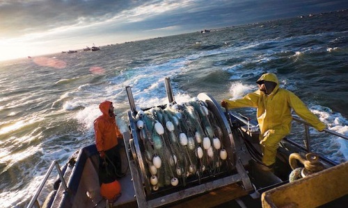 Un parti espagnol soutient la pêche dans les eaux marocaines 